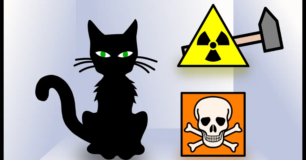 Physics Schrodingers Cat